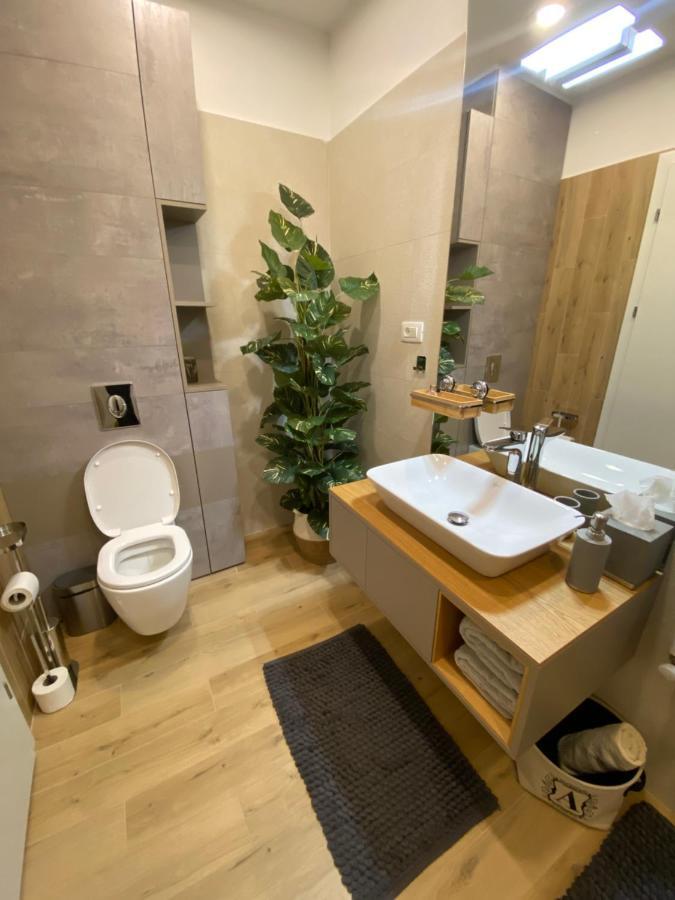 Art'Penthouse Aparthotel Брашов Екстериор снимка